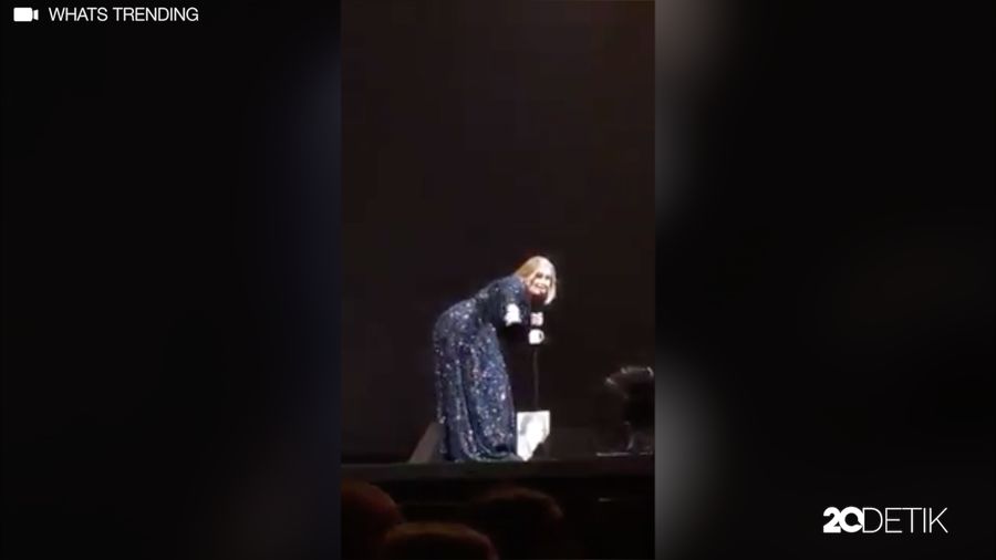 Lagi Konser, Adele Diserang Kelelawar