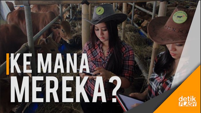Tak Ada Lagi Cewek Cantik di Sapi Haji Doni