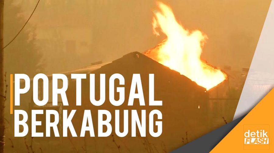 Kebakaran Hutan di Portugal, 62 Tewas