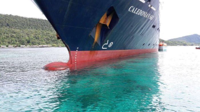 Karang Raja Ampat Rusak karena Kapal Pesiar Inggris