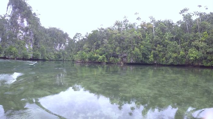 Menyusuri Teluk Indah untuk Cari Kayu di Raja Ampat
