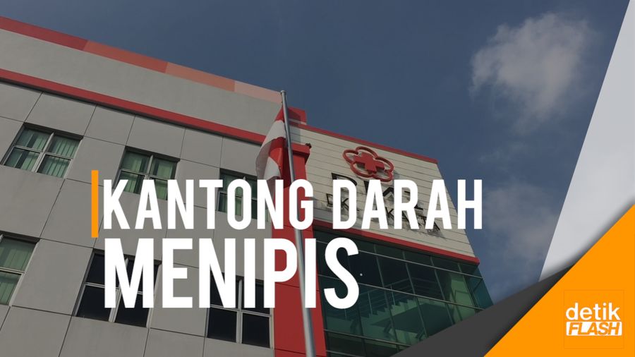 Tolong... PMI DKI Butuh Stok Darah