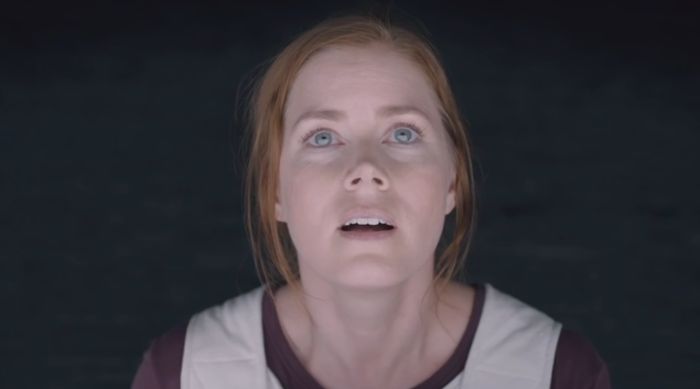 Netizen Bingung Tak Ada Nama Amy Adams di Nominasi Oscar 2017