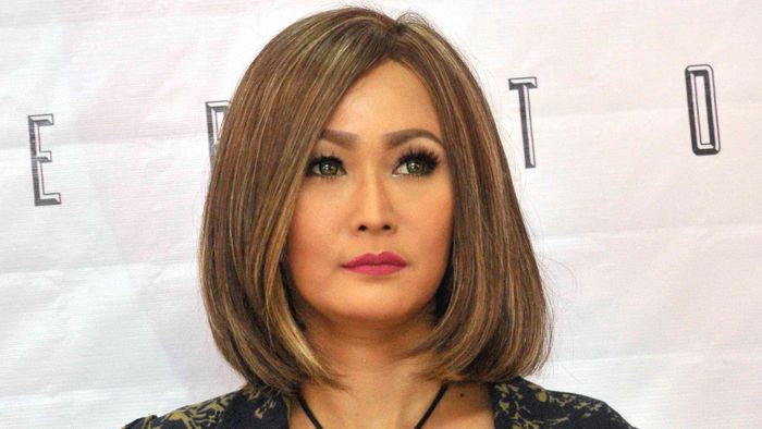 Gara-gara Komentar di Postingan Foto Bareng Ahok, Inul Dipolisikan