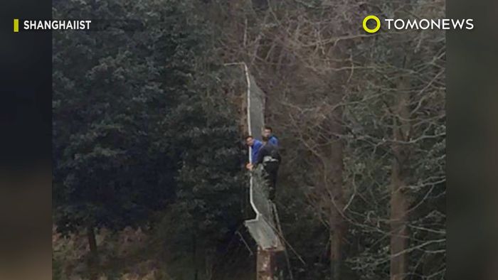 Hindari Bayar Tiket Masuk, Pria Ini Malah Tewas Diterkam Harimau