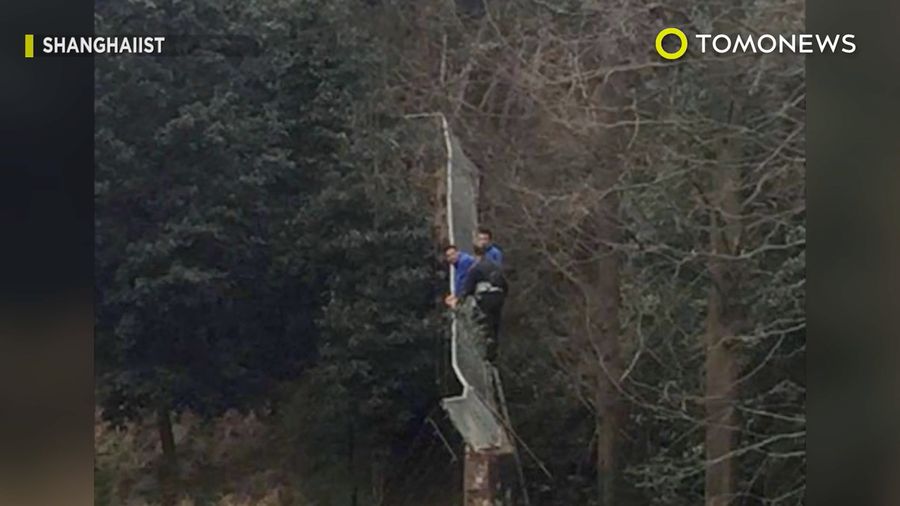 Hindari Bayar Tiket Masuk, Pria Ini Malah Tewas Diterkam Harimau