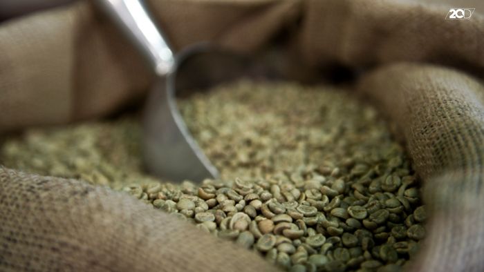 Ini Kata Ahli Gizi Soal Diet dengan Kopi Hijau