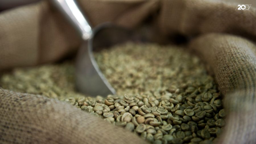 Ini Kata Ahli Gizi Soal Diet dengan Kopi Hijau