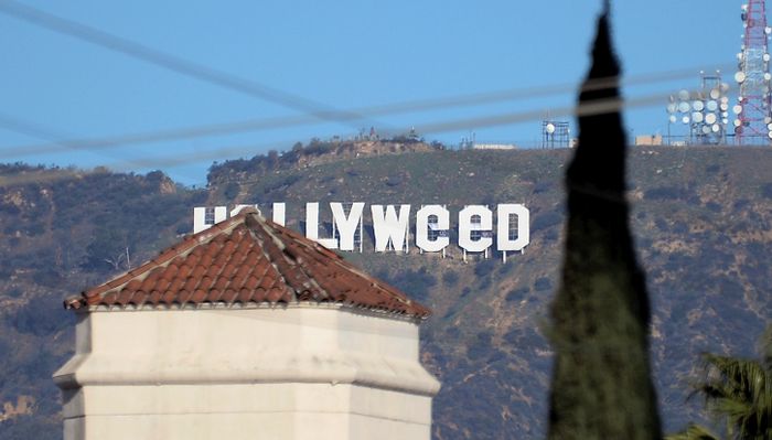 Reaksi Selebriti Lihat Bukit Hollywood Berubah Jadi Hollyweed