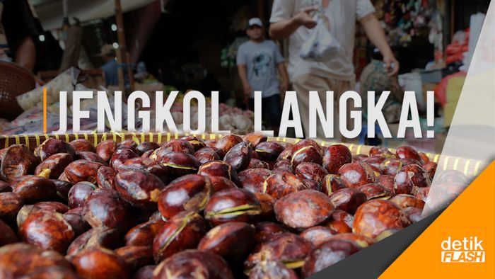 Harga Jengkol Nyaris Tembus Rp 100 Ribu/Kg