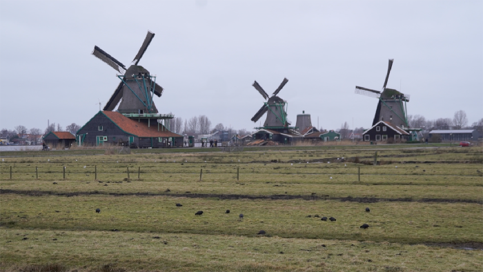 Desa Kincir Angin Zaanse Schans