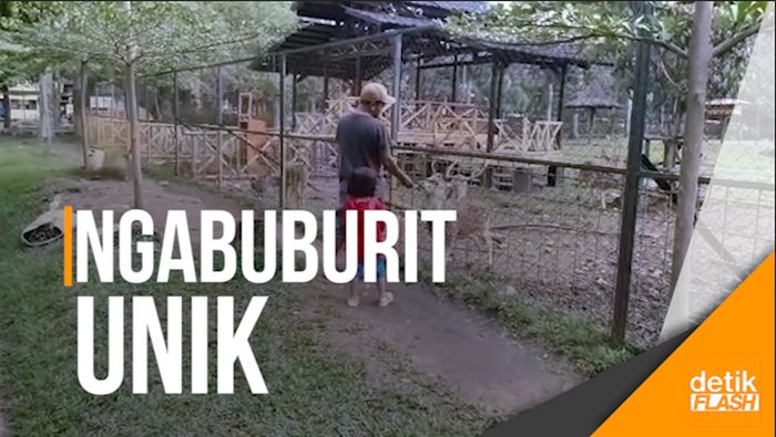 Di Soreang Ada Ngabuburit Nonton Rusa