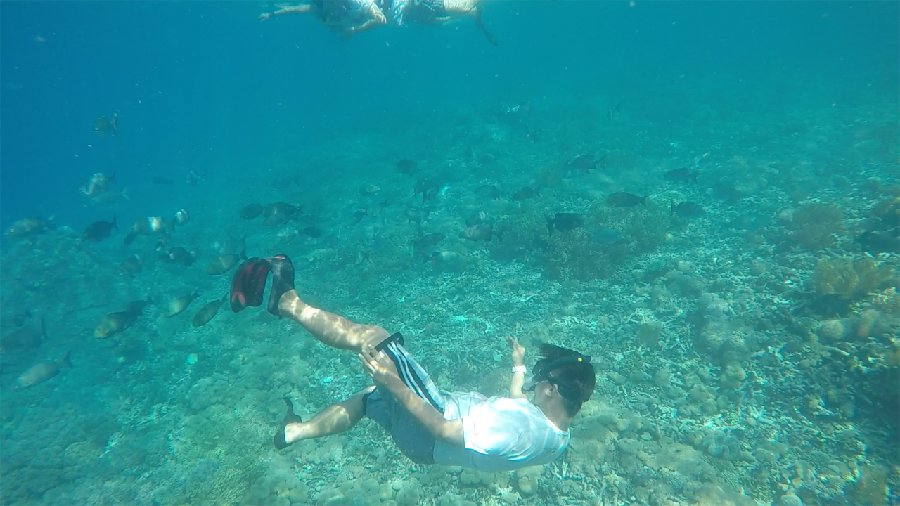 Snorkeling di Raja Ampat Cukup di Bawah Dermaga Kampung