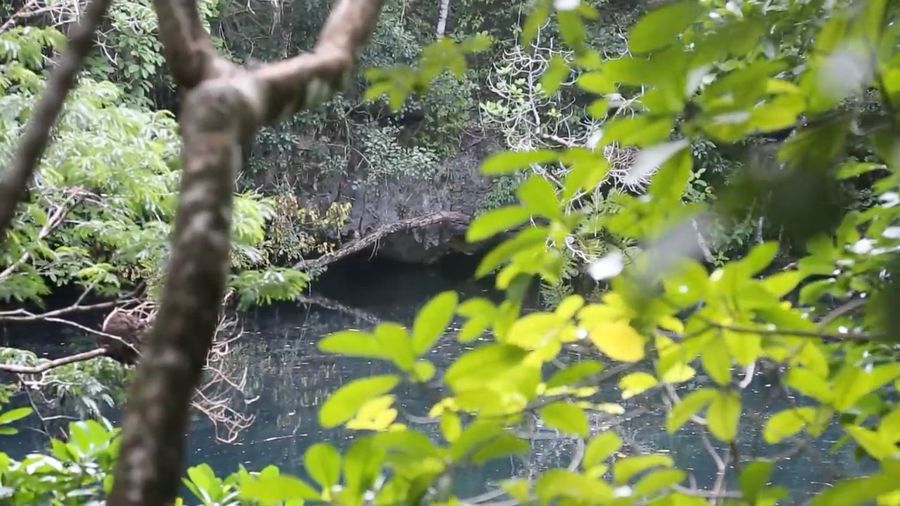 Ajaib! Ada Sungai di Dalam Danau Meksiko