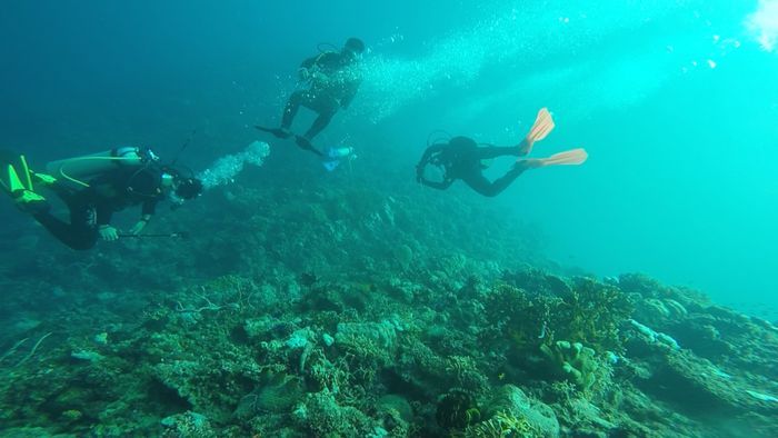 Gorontalo, Surganya Spot Fotografi Bawah Laut