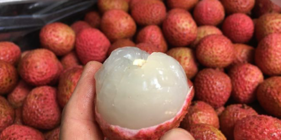 Konsumsi Leci Bisa Berujung Kematian, Begini Penjelasannya