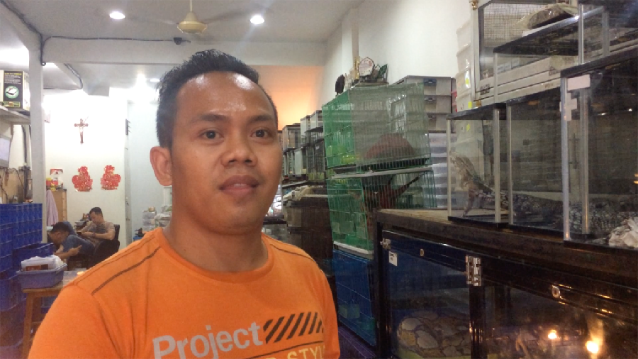 Cerita Keeper Ular Sanca dari Savera Reptile