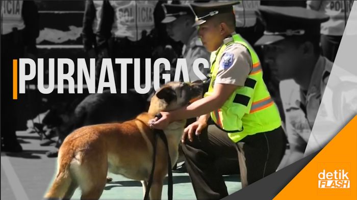 Melihat Upacara Pensiun Anjing Polisi