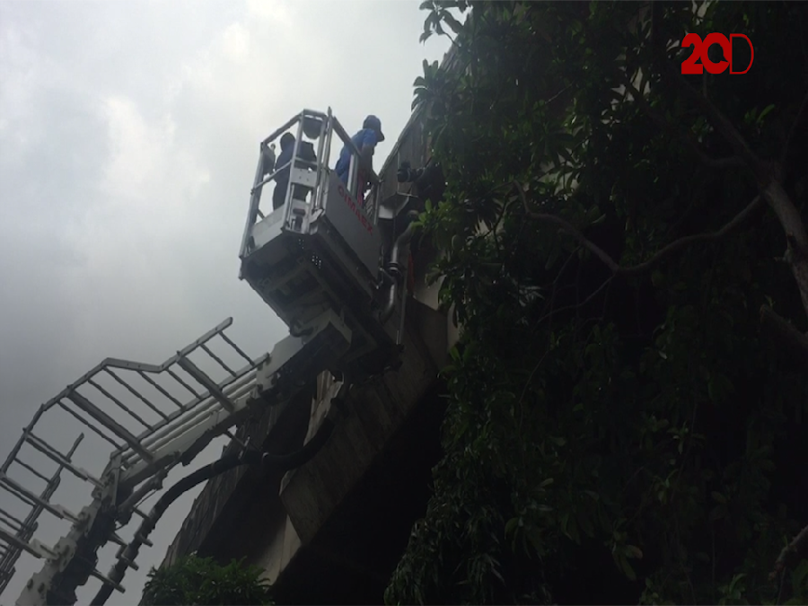 Heroik! Aksi Petugas Damkar Evakuasi Kucing yang Terjebak