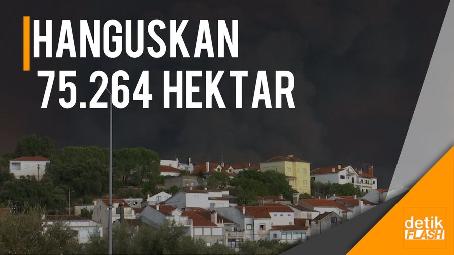 Kebakaran di Portugal Habiskan Puluhan Ribu Hektar Hutan