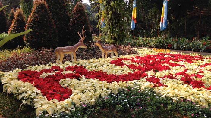 Spot Narsis di Pameran Flona 2017