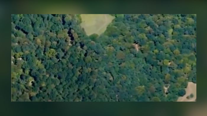 Menengok Hutan Berhantu di Eropa yang Punya Gerbang ke Dunia Lain