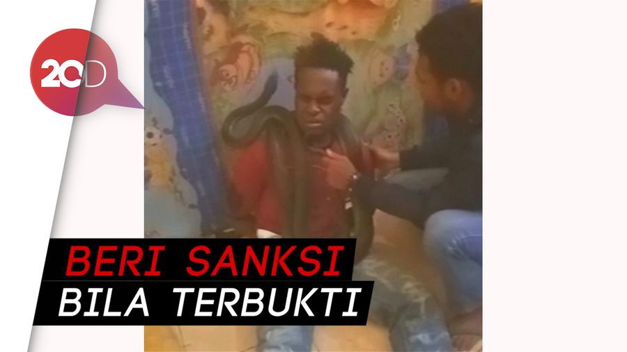 Penjelasan Humas Polda Papua soal Interogasi Pakai Ular 