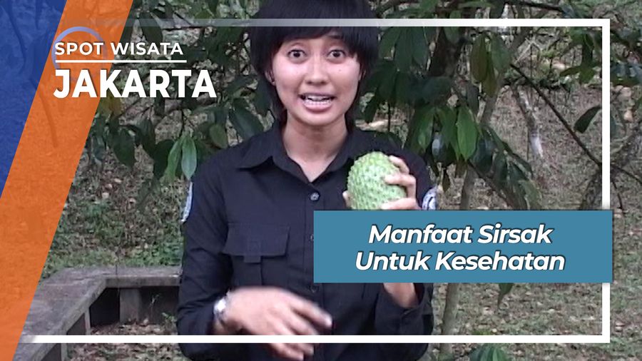 Manfaat Sirsak untuk Kesehatan, Jakarta