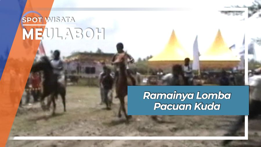 Ramainya Lomba Pacuan Kuda, Meulaboh
