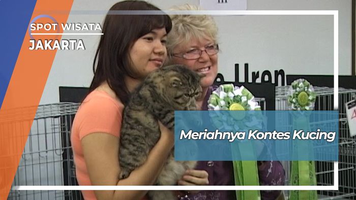 Meriahnya Kontes Kucing, Jakarta