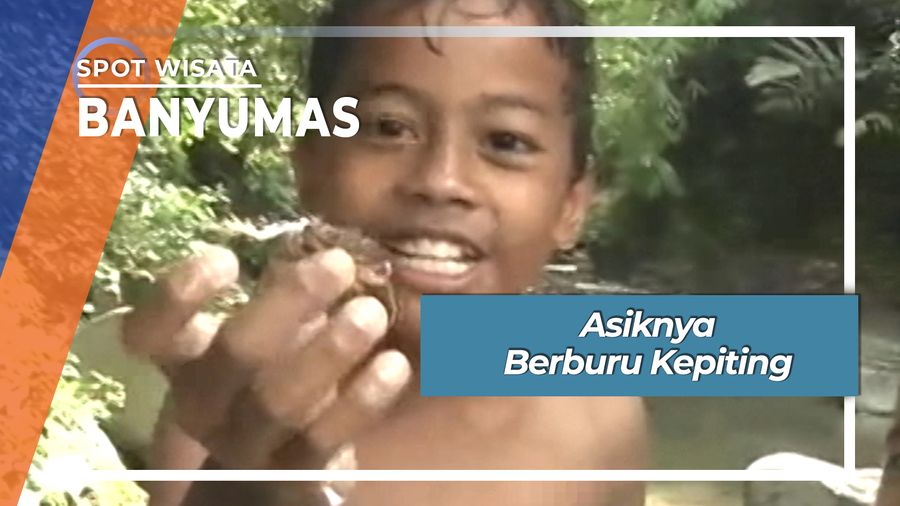 Asiknya Berburu Kepiting, Banyumas