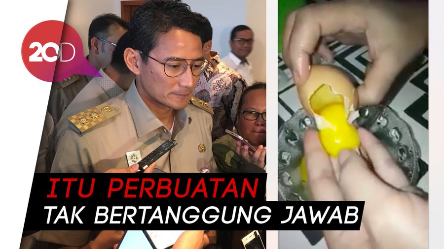 Sandi soal Telur Palsu: Itu Hoax, Masyarakat Tak Perlu Waswas