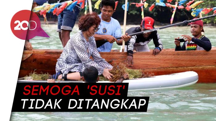 Menteri Susi Dihadiahi Hiu Paus Bernama Susi