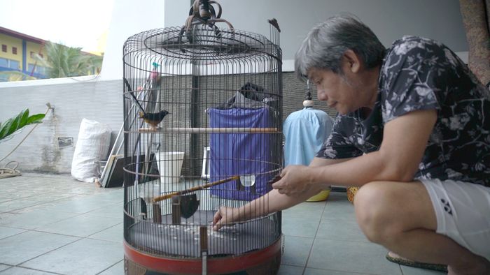 Herry IP di Antara Bulutangkis dan Burung Kicau  