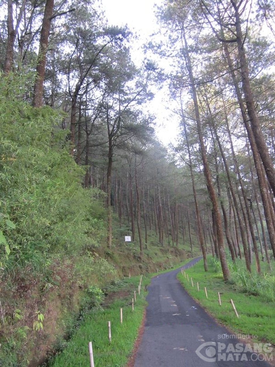 Indahnya Pemandangan Di Jalan Menuju Basecamp Gunung Merbabu