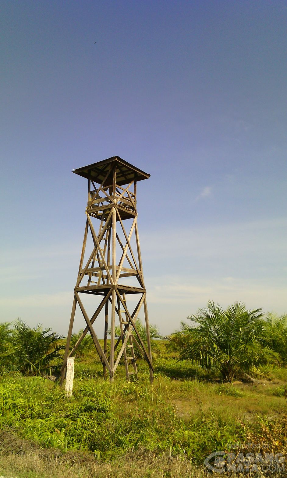 Menara Dius Api Inilah Menara Pantau Titik Api yang Siaga Bahaya Kebakaran • #Umum ...