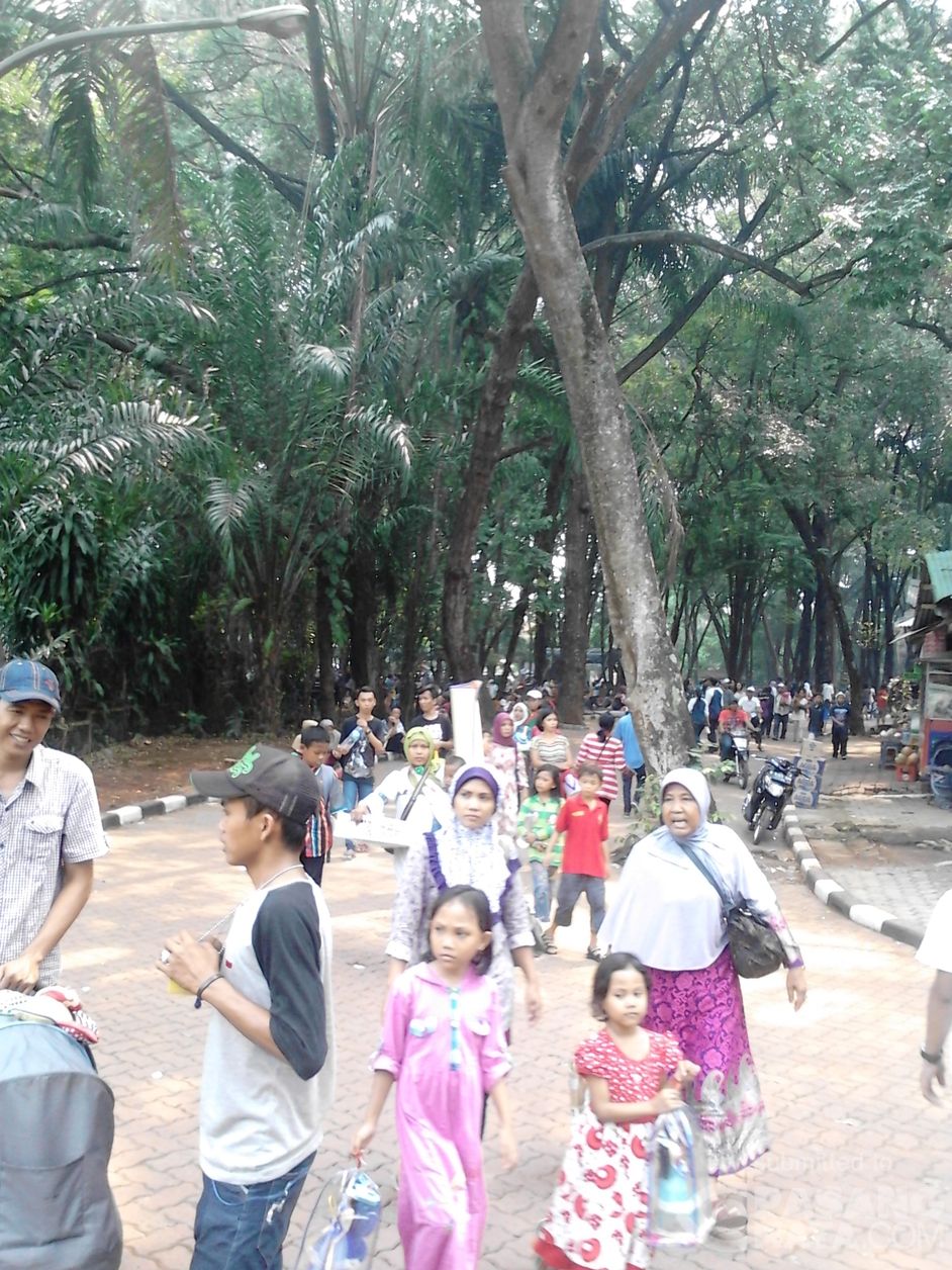 Ramainya Tempat Wisata Kebun Binatang Ragunan Hari Ini