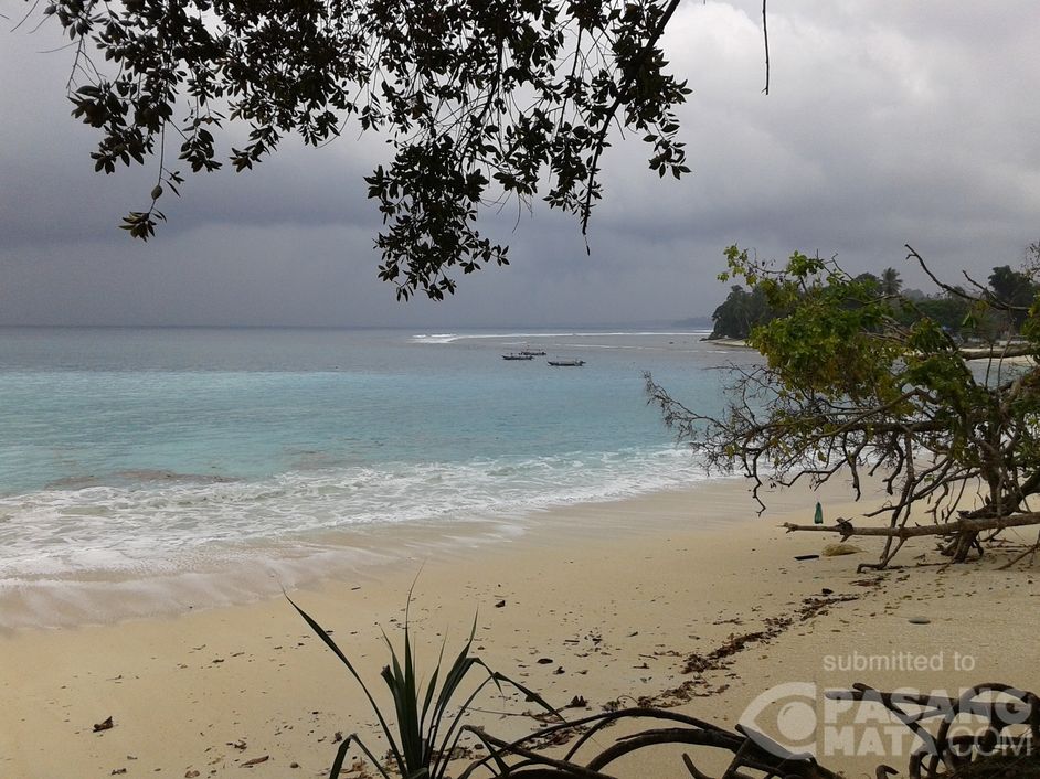 Pemandangan Pagi  Hari  Di  Pantai  Moa Gambar 