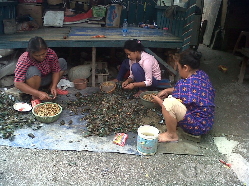 Rela Menjadi Buruh Kupas Kerang Demi Penghasilan Tambahan 