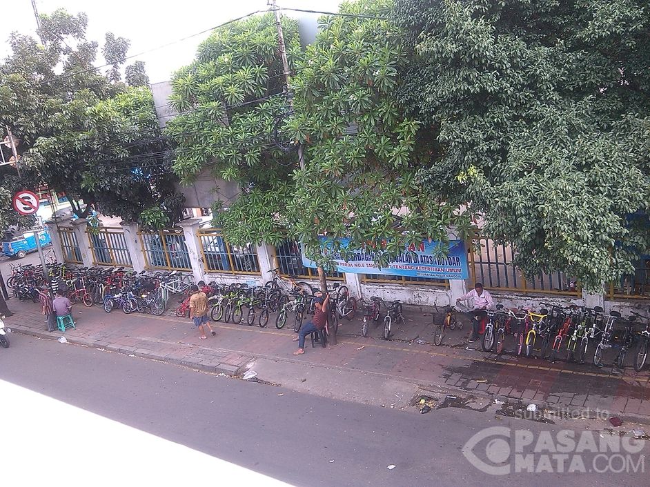 Ide Ide Populer Pasar  Rumput  Sepeda  Ginger Snap