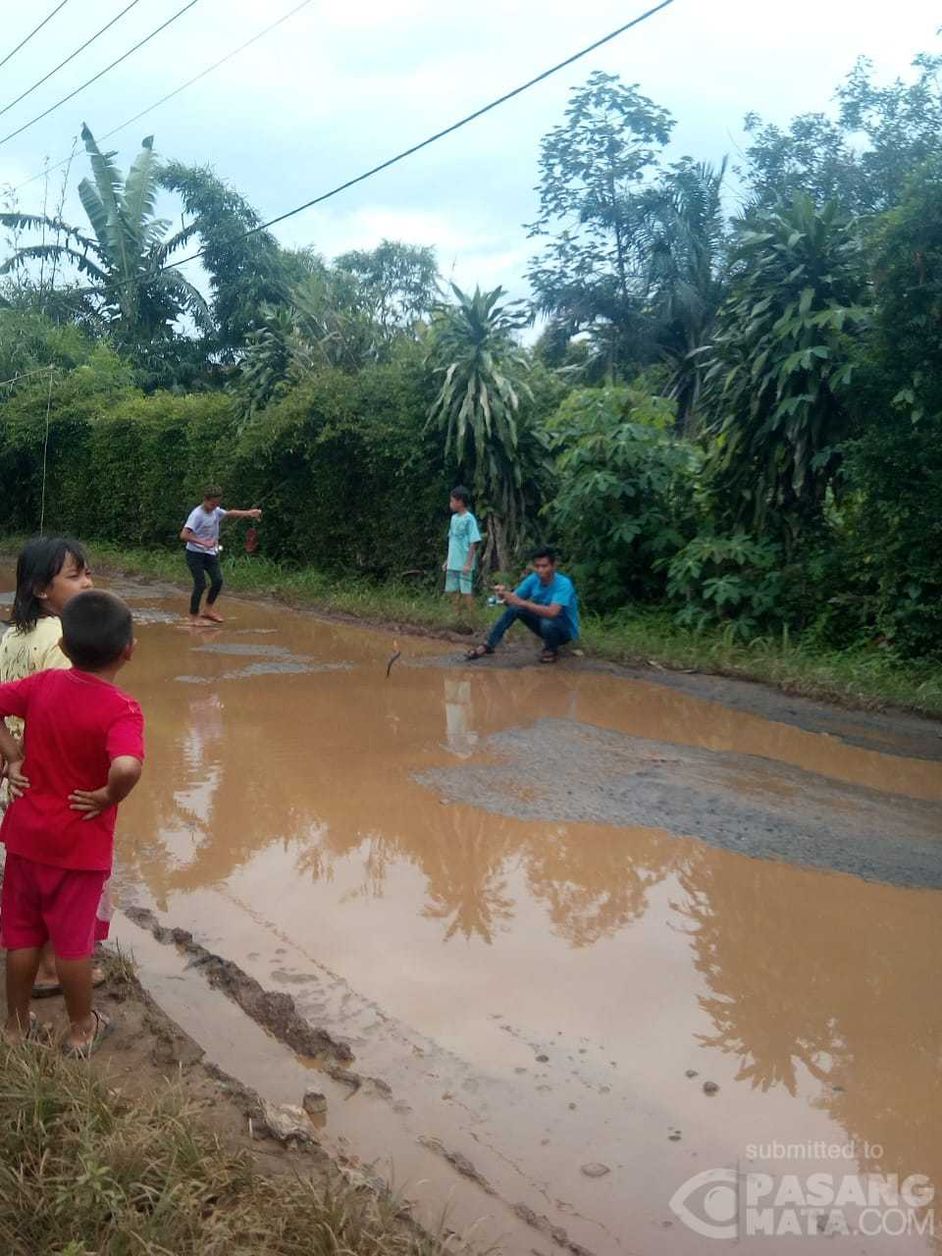 30+ Hits Gambar Lucu Mancing Di Jalan Terlengkap | Memelucu