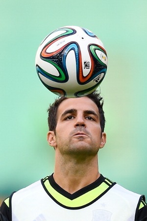 David Ramos/Getty Images