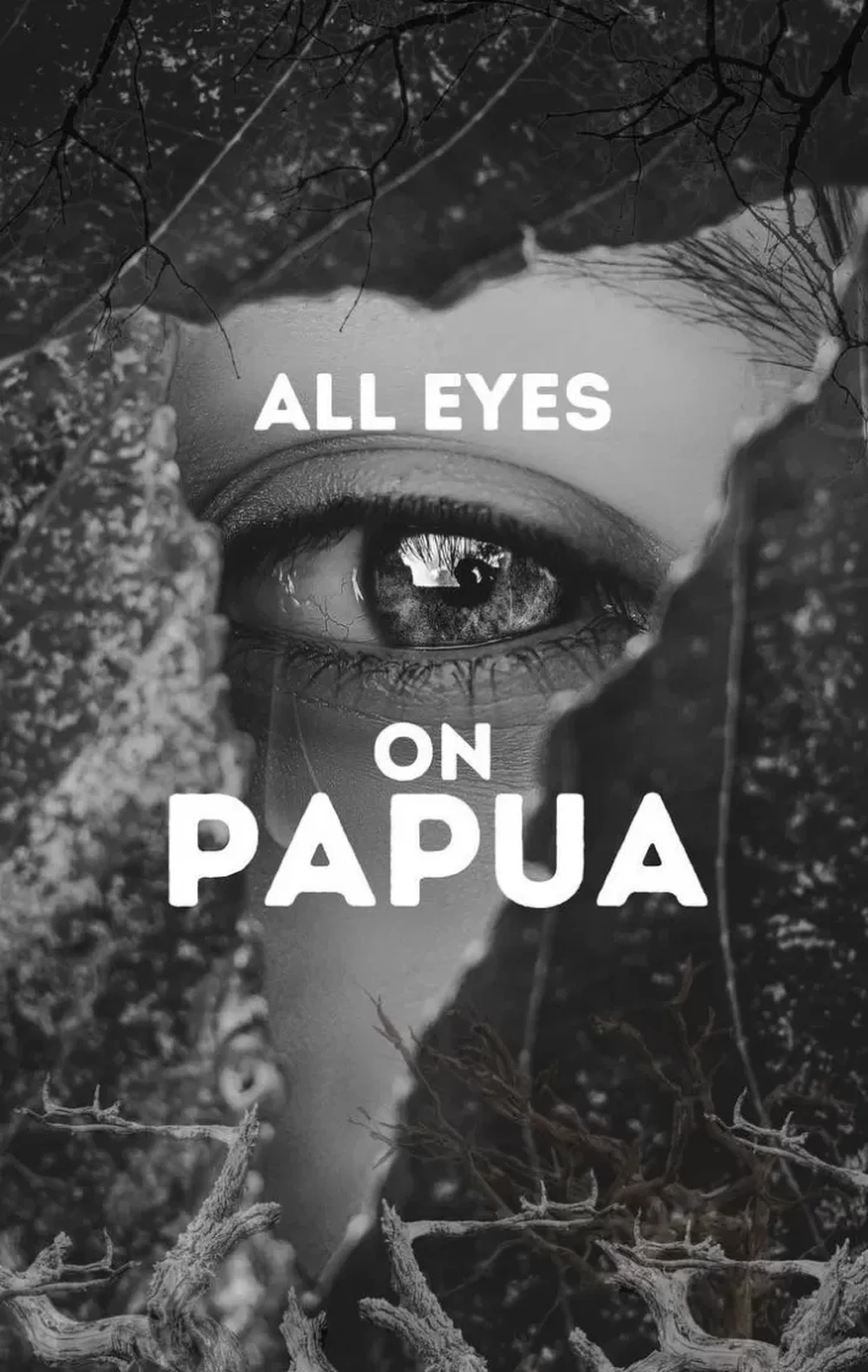 Mengenal 4 Fakta Suku Awyu dan Moi di Balik “All Eyes on Papua”