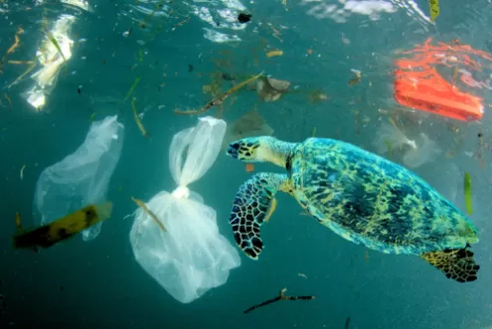 Sambut Hari Bebas Kantong Plastik Sedunia, Kamu Bisa Apa?