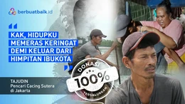 Kisah Pencari Cacing Sutera, Berjuang Kerja untuk Menopang Keluarga