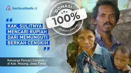 Nasib Pilu Keluarga Pencari Cengkih, Memunguti Rupiah Guna Bertahan Hidup