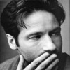David Duchovny Jajal Jadi Sutradara