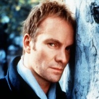 Sting, Dosen Musik Dadakan