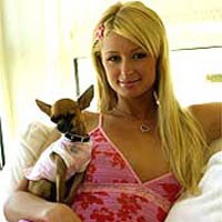 Paris Hilton Kapok Telanjang