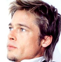 Brad Pitt Derita Meningitis!